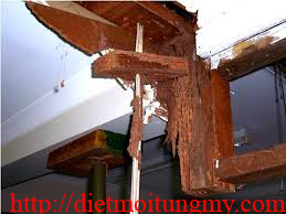 diet moi tai binh duong