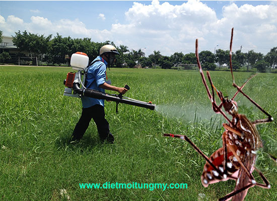 Phun diệt muỗi tại Đồng Nai