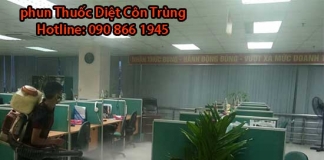 diet con trung quan 9