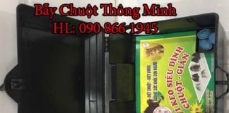 bay chuot thong minh