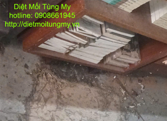 dich vu diet moi tai go vap