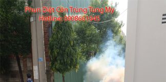 dich vu diet con trung tai hoc mon