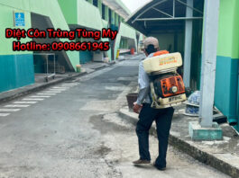 diet con trung tai long xuyen