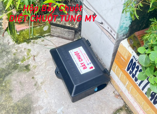 gia diet chuot nha xuong