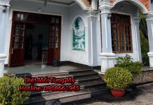 giá diệt mối tại nhà bằng phương pháp hóa sinh