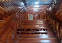 Dịch Vụ Diệt Mối Tận Gốc Sinh Học dich vu diet moi sinh hoc