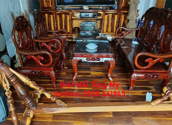 Công Ty Diệt Mối Tại Nhà Ở Phú Thọ