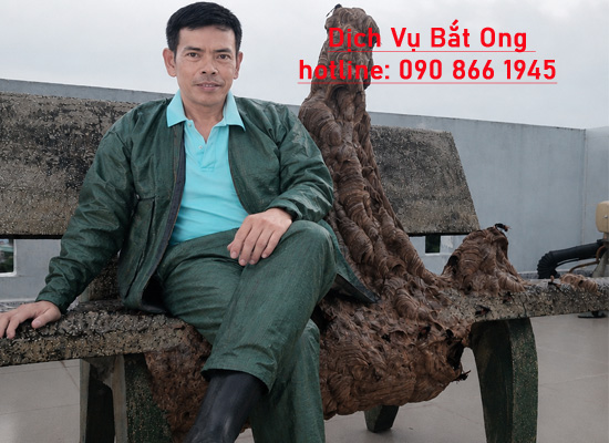 Dịch Vụ Bắt Ong Chuyên Nghiệp Tại Phú Nhuận