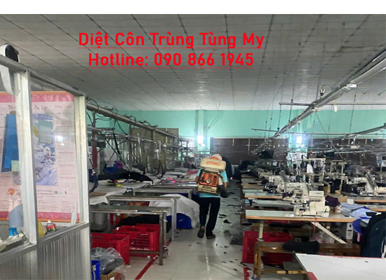 Công Ty Diệt Muỗi Côn Trùng Tại Bình Chánh