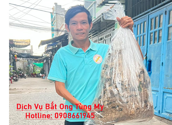 Đơn Vị Bắt Ong Tại Củ Chi An Toàn, Chuyên Nghiệp