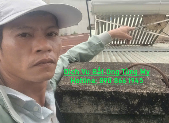 dich vu bat ong tai nha