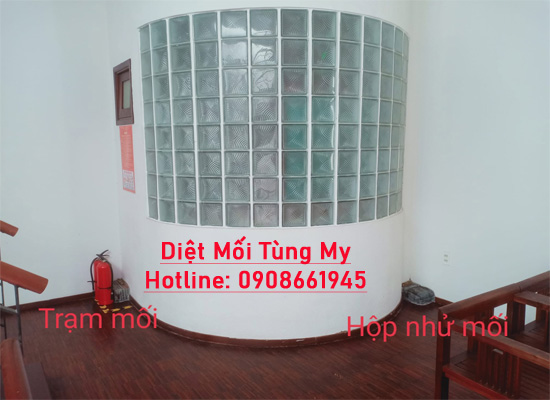 diệt mối tận gốc tại nhà