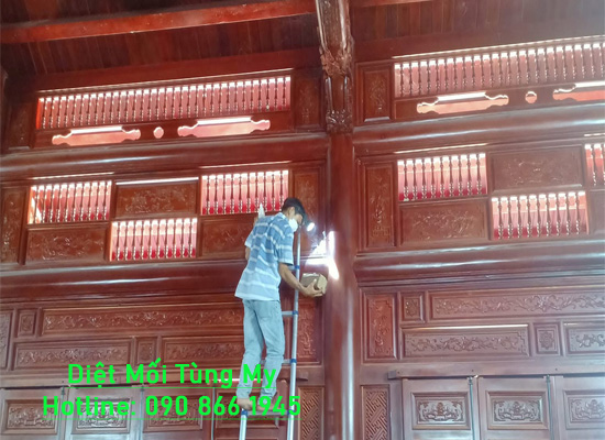 Diệt Mối Tận Gốc Là Gì? PP Xử Lý Mối Của Công Ty Tùng My