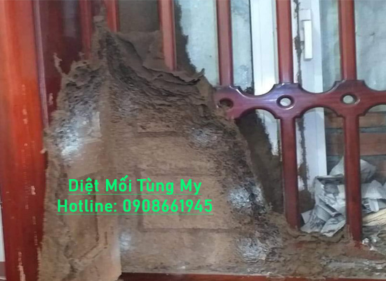 diệt mối trong tủ bếp