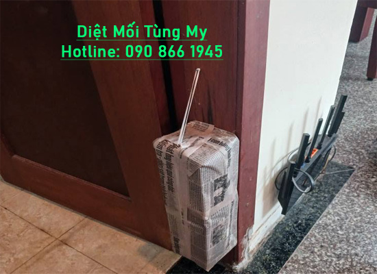 diệt mối sinh học trong kệ bếp