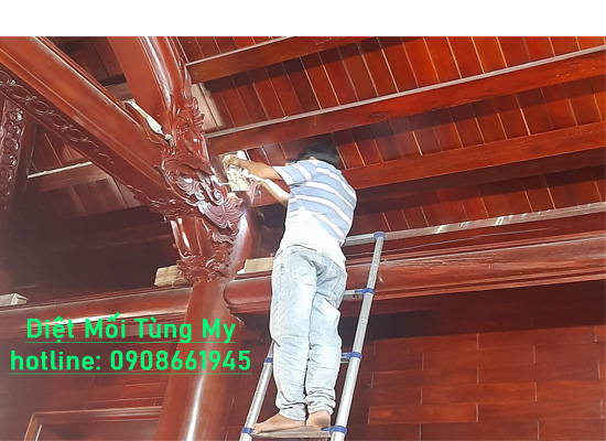 Hướng Dẫn Tự Diệt Mối Tại Nhà Bằng Hộp Nhử Bả Mối