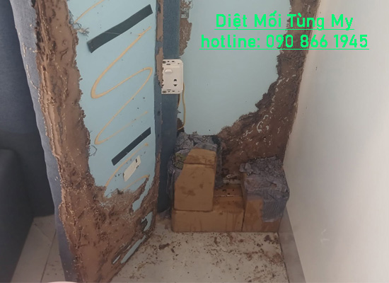 hướng dẫn tự diệt mối tại nhà