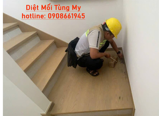 diệt mối ăn gỗ lót cầu thang tại quy nhơn