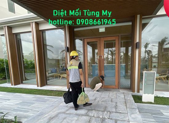 Dịch Vụ Diệt Mối Tại Quy Nhơn Tận Gốc, An Toàn - Chuyên Nghiệp