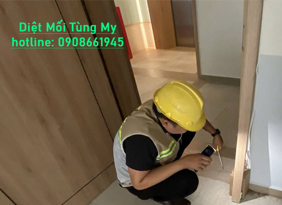 Dịch Vụ Diệt Mối Tại Thừa Thiên Huế Tận Gốc Hiệu Quả