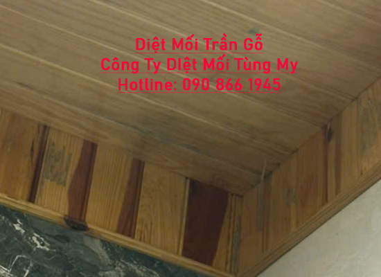diệt mối sàn gỗ tại bến cát