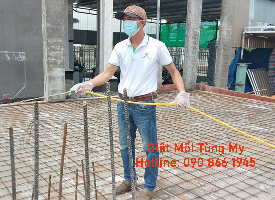 phun thuốc phòng chống mối tại hóc môn