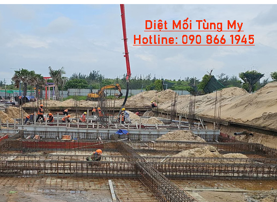 khảo sát chống mối nền móng tại hóc môn