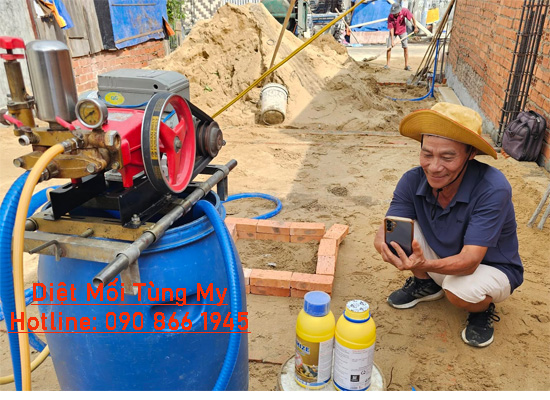 Dịch Vụ Phòng Chống Mối Tại Hóc Môn Công Ty Tùng My
